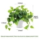 thumbnail image 2 of Planta artificial CEWOR Pothos Scindapsus Aureus de 20 cm con maceta, 2 of 7