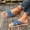Blue, variant on Slide Sandals For Women One Strap Flat Sole Round Toe Open Toe Cushioned Casual Indoor Outdoor Summer Daily Wear Versatile Everyday