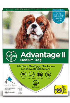 advantage 2 for medium dogs