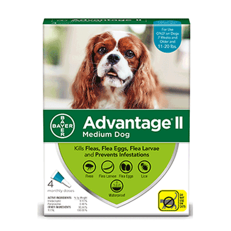 Advantage II Flea Prevention for Medium Dogs, 4 Monthly Treatments