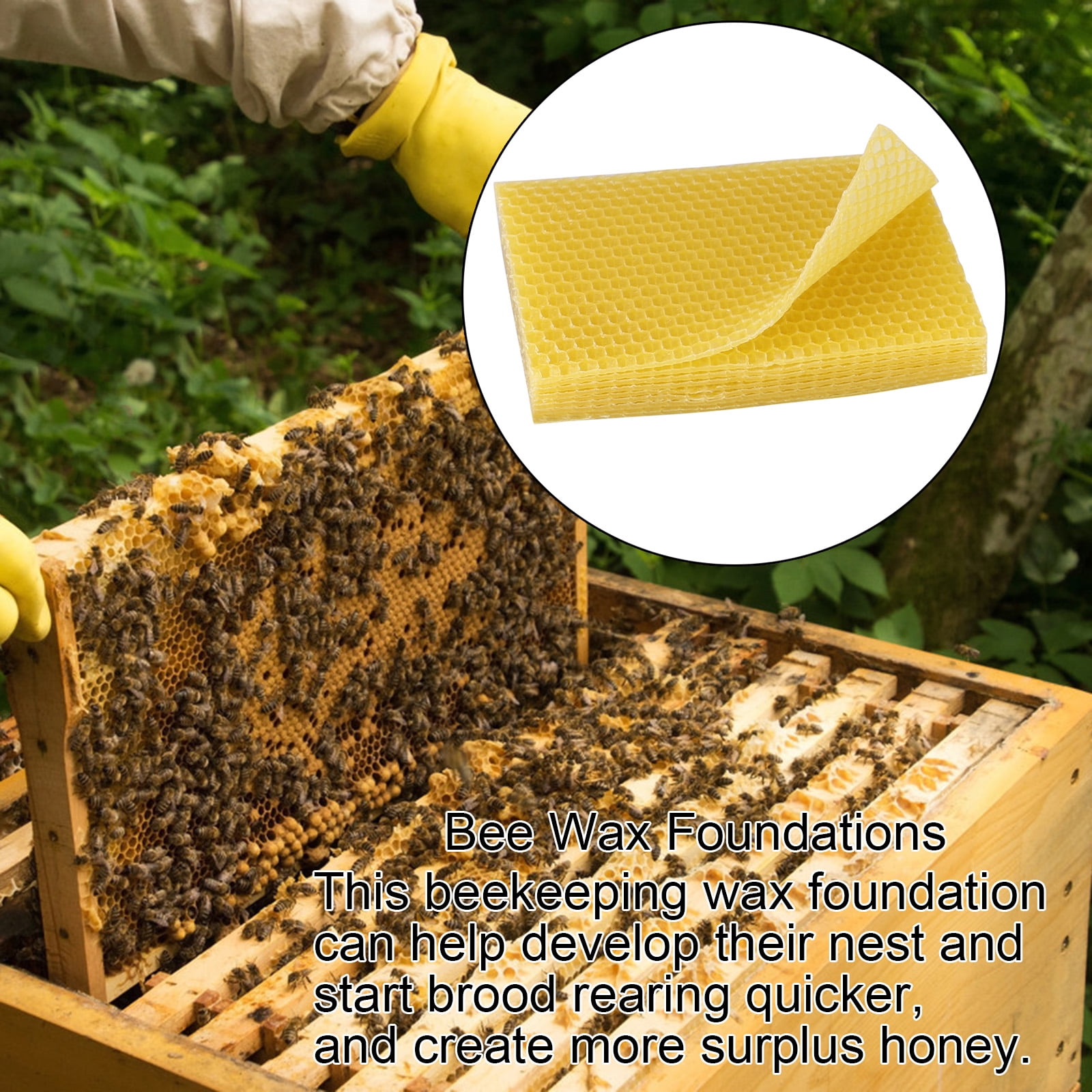 10Pcs Beekeeping Honeycomb Foundation Wax Frames Honey Hive Equipment Tool Set 
