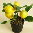 thumbnail image 3 of Planta en maceta de limón Artificial Timcorr Mini árbol de limón S, 3 of 8
