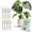 Moonstone, variant on Twigs Ga Stackable Plant Support Moonstone 3 Pack 17"