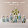 thumbnail image 5 of Solaray One Daily Ginkgo Biloba Supplement, 120mg | 60 Count, 5 of 5