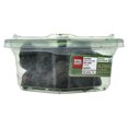 thumbnail image 5 of Natural Delights Ajwa Al Medina Dates, 7 oz (198 g), 5 of 6