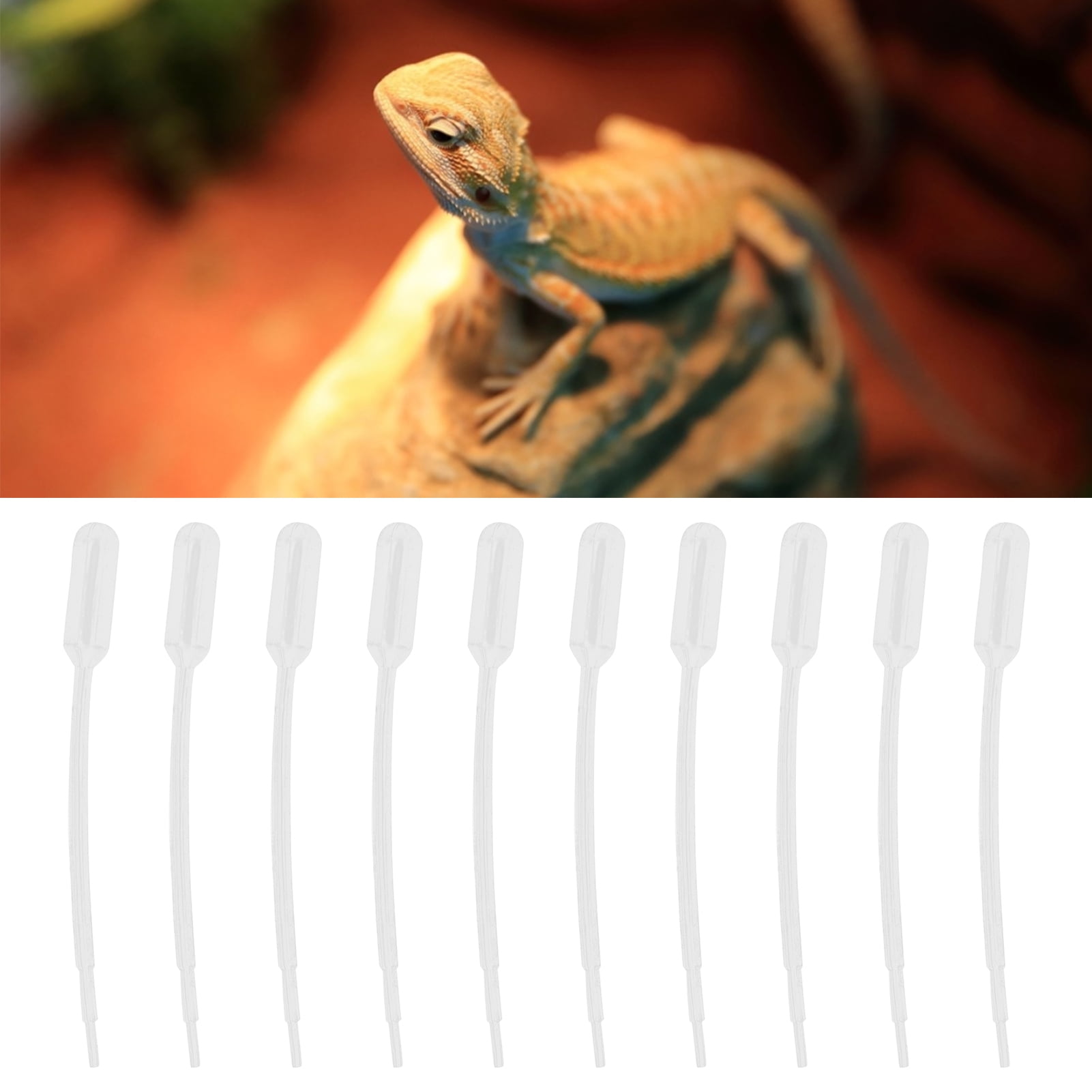 Zerone 10pcs Coral Feeder Plastic Reptiles Feeding Tube For Fish