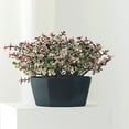 thumbnail image 4 of Macetas Para Plantas Macetas De Plástico De Gran Diámetro Con Orificio De Drenaje Macetas Modernas Ideal Para Plantas Hierbas Violetas Africanas Plantas De Follaje Advancent HA028500-02, 4 of 6