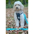 thumbnail image 3 of DEXDOG Chest Plate Harness with Adjustable Straps, Reflective, Padded for XX-Small Dogs - Green, 3 of 7