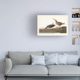 thumbnail image 3 of John James Audubon 'Red breasted Snipe' Canvas Art, 3 of 3