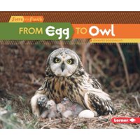 From Egg to Owl