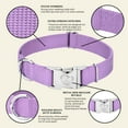 thumbnail image 4 of Country Brook Petz® Premium Nylon Dog Collar with Metal Buckle for Small Medium Large Breeds (Large, 1 Inch, Lavender), 4 of 4