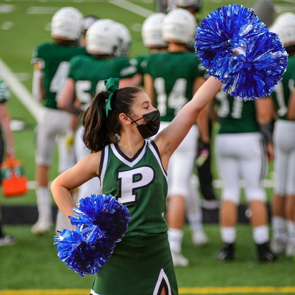 FRCOLOR 2pcs Festival Cheerleading Pom Pom With Handle Cheerleader Pom Poms For School Events Reusable Cheerleading Props For Dance Performances