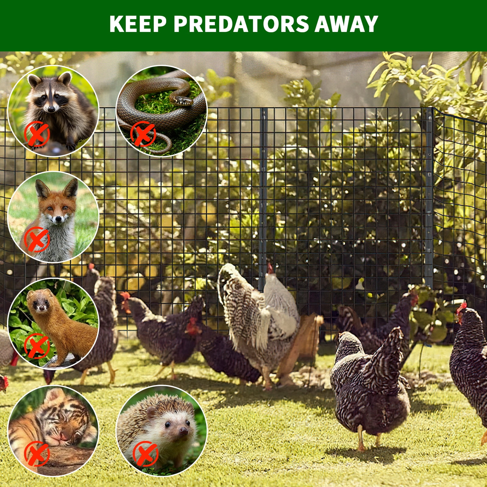 Accreate Hardware Cloth Chicken Wire Fence Galvanized Steel Mesh Rolled Fencing for Garden Supports Poultry Netting Cage Snake Fence Tree Guard