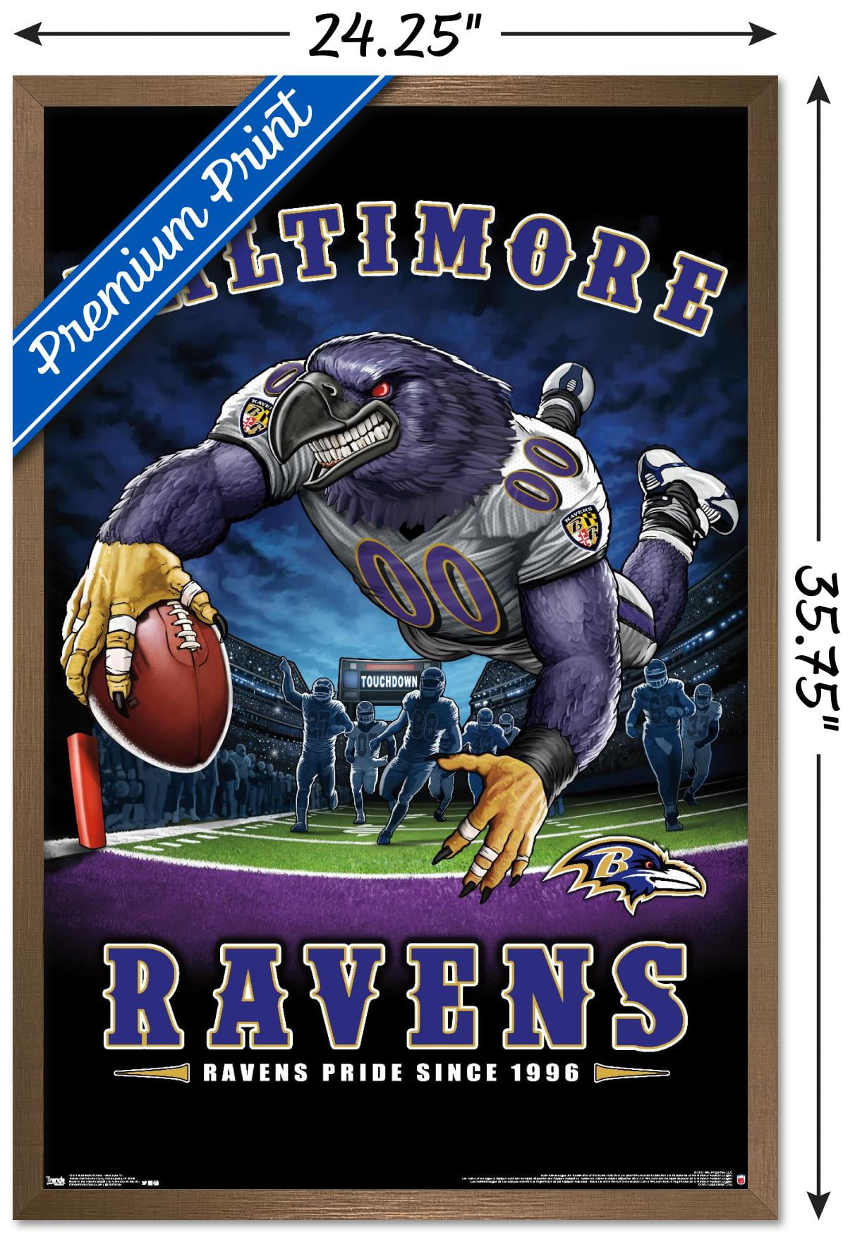 NFL Baltimore Ravens - End Zone 17 Wall Poster, 22.375" x 34", Framed
