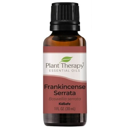 Plant Therapy Frankincense Serrata Essential Oil 100% Pure, Undiluted, Natural Aromatherapy, Therapeutic Grade 30 mL (1 oz)