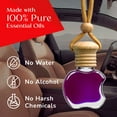 thumbnail image 3 of Kabod Blueberries Luxury Car Air Freshener Hanging Men Women Long Lasting Scent Diffuser, 3 of 7