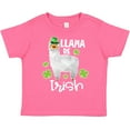 thumbnail image 3 of Inktastic St. Patrick's Day Llama Be Irish with Green Shamrocks Boys or Girls Toddler T-Shirt, 3 of 5