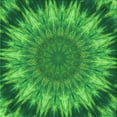 thumbnail image 1 of Ahgly Company Machine Washable Indoor Square Transitional Green Area Rugs, 7' Square, 1 of 7