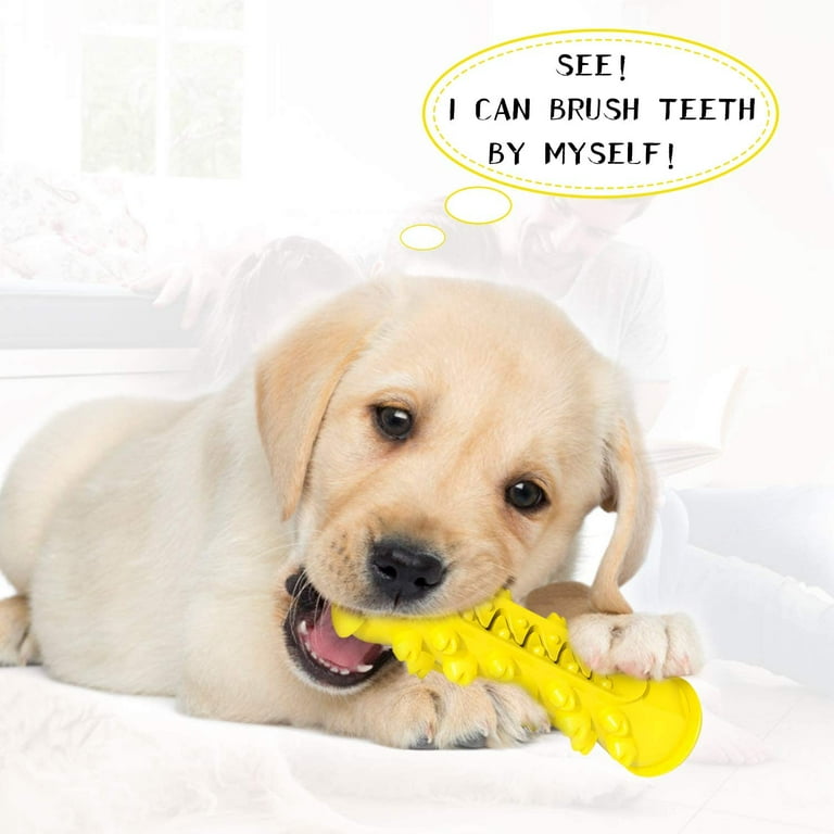 Yomerto best sale dog toothbrush