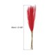 thumbnail image 2 of Uxcell 8Pcs Hierba de Pampas Falsa 21" Falsa Pampas para Decoración de Bodas Roja, 2 of 7