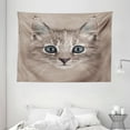 thumbnail image 1 of Animal Tapestry, Portrait of Domestic Cat Cute Face Baby Kitten Pet Whiskers Fluffy Feline, Wall Hanging for Bedroom Living Room Dorm Decor, 80W X 60L Inches, Umber Brown Bluegrey, by Ambesonne, 1 of 2
