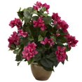 thumbnail image 1 of Bougainvillea w/Ceramic Vase, 1 of 2