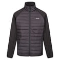 thumbnail image 1 of Regatta Veste Hybride Clumber IV pour Hommes, 1 of 7