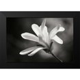 thumbnail image 2 of Geyman, Vitaly 18x13 Black Modern Framed Museum Art Print Titled - Magnolia Dreams II, 2 of 5