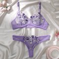 thumbnail image 3 of Ropa interior Sexy para mujer, conjunto de dos piezas con bordado de flores pequeñas, sujetador transparente, lencería caliente, bragas íntimas, 3 of 5