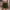 200#Army Green, variant on Dwaogom Women's Elastic Waist Printing Drawstring Shorts Womens Leggings Denim Shorts