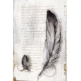 thumbnail image 2 of Watts, Eva 17x24 White Modern Wood Framed Museum Art Print Titled - Vintage Feathers II, 2 of 4