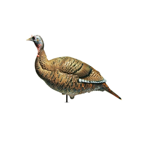Dave Smith Decoys DSD Upright Hen Turkey Decoy
