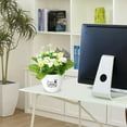 thumbnail image 4 of GreenHome In Real Flower Arrangement for Elegant Home Desk Centerpiece, 4 of 5