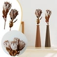 thumbnail image 2 of Flowers Classic Dried South African for Natural Texture and Longevity 1969 Inch Ready Home Enhancer, 2 of 6