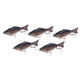 thumbnail image 3 of Paquete de 5 señuelos de pesca Swimbaits, Crankbaits, señuelos de natación para bagres, crappies, truchas, salmones, agua dulce y salada., 3 of 9
