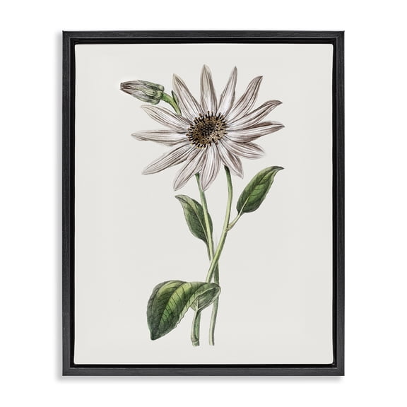Stupell Industries Vintage Mum Sprig Floral Painting Black Floater Framed Canvas Art Print Wall Art, 17 x 21