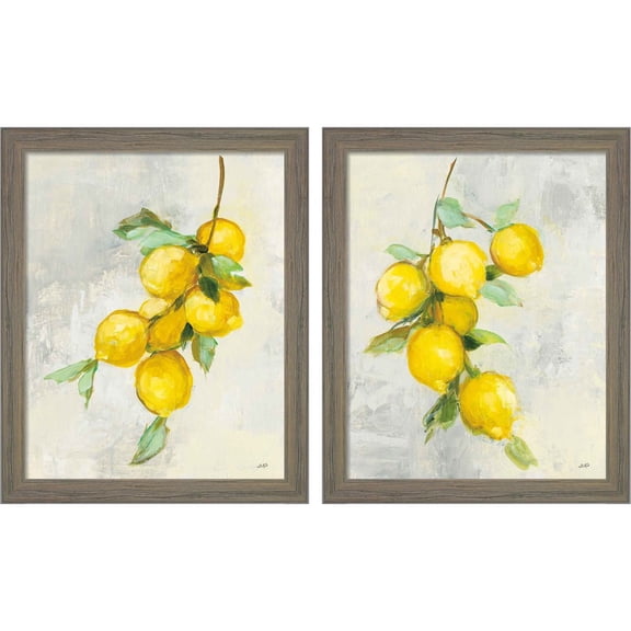 Great Art Now Zest by Julia Purinton, 2 Piece Framed Art Set Each 9"W x 11"H