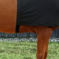 thumbnail image 3 of Naiovety Chaleco elástico negro para caballos Protector de pecho antifricción para un ajuste cómodo Chaleco elástico negro para caballos Cuidado ecuestre y deportes, 3 of 6