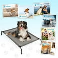 thumbnail image 3 of Ktaxon 50"D x 31"W Original Cooling Elevated Dog Bed, Indoor and Outdoor, Washable Chew Proof Dog Cot,Gray, 3 of 7