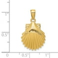 thumbnail image 4 of FB Jewels 14K Yellow Gold Scallop Shell Pendant, 4 of 4