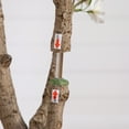 thumbnail image 4 of Nearly Natural Deluxe Cherry Blossom Artificial Potted Tree - 6' - White, 4 of 7
