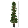 thumbnail image 3 of Nearly Natural 5.5ft English Ivy Topiary Spiral Artificial Tree UV Resistant, 3 of 4