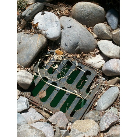Canvas Print Grill Sewer Drain Rocks Drainage Stretched Canvas 10 x