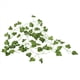 thumbnail image 2 of 3X 2M Plantas Artificiales Largas Hojas de Hiedra Verde Vid de Uva Artificial Hoja Falsa de Partenciscisus, Decoracion de Casa Boda Y Bar, Seccion de Enredadera, 2 of 5