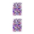 thumbnail image 2 of Ramos de Flores Secas Naturales Naiovety Tipo 3 2Conjunto, 2 of 6