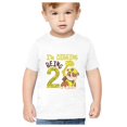 thumbnail image 1 of Tstars Boys 2nd Birthday Gift Shirt Birthday Gift for 2 Year Old Paw Patrol Rubble Digging Birthday Shirts for Baby Boy Graphic Tee Birthday Party Official Nickelodeon B Day Toddler Kids T Shirt, 1 of 6