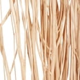 thumbnail image 4 of 57" Dried Plant Natural Foliage Pigeon pea Bouquet, by DecMode (2 Count), 4 of 8