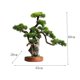 thumbnail image 2 of Bonsái artificial de pino de bienvenida, simulación de rocalla, planta en maceta, bonsái decorativo, exhibición de escritorio, adornos de maceta de árbol falso for el hogar, oficina, 2 of 7