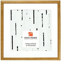 Craig Frames Farnsworth, 20x20 inch Picture Frame Matted for a 16x16 Photo, Gold