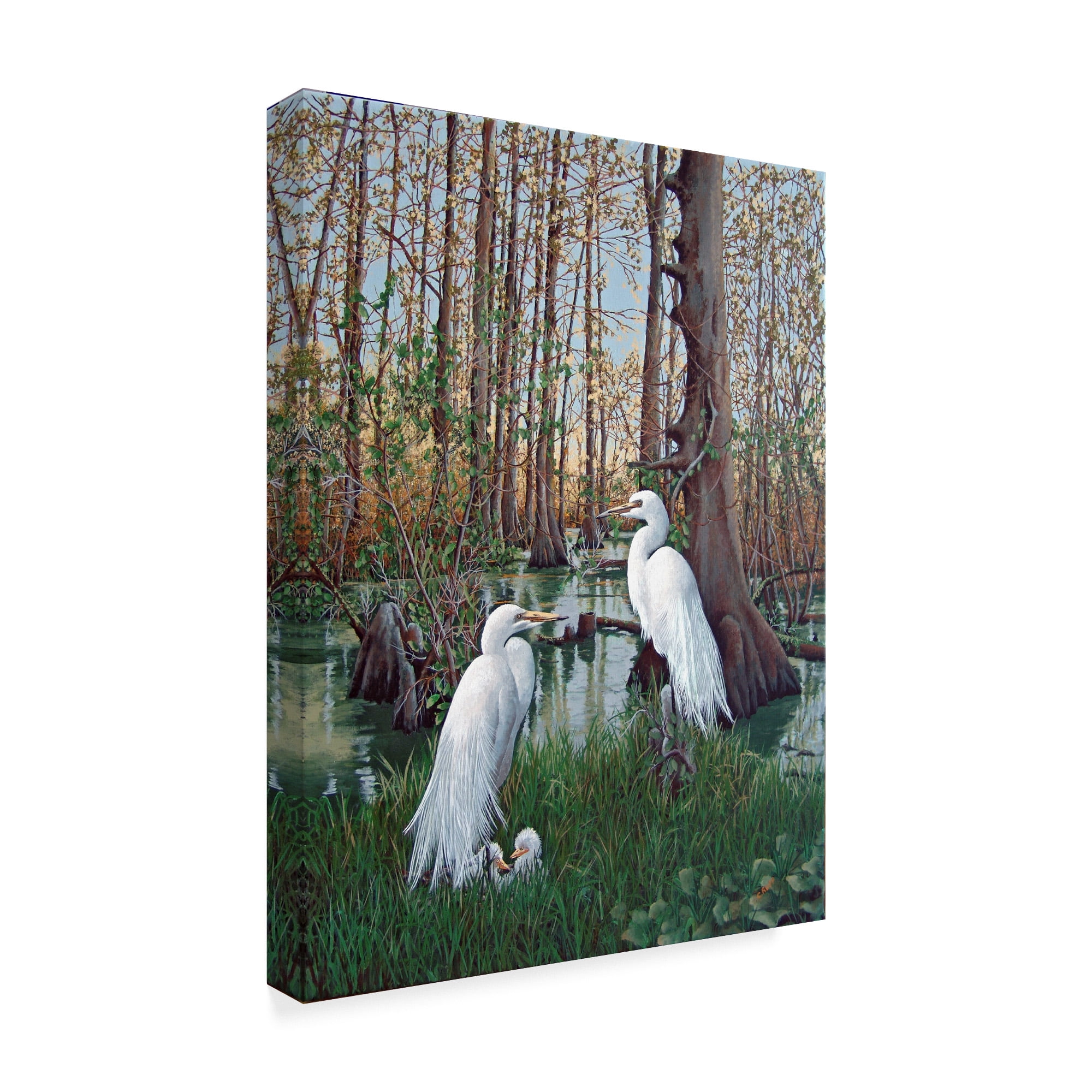 Trademark Fine Art 'Snowy White Egret Nesting' Canvas Art by Carol J Rupp